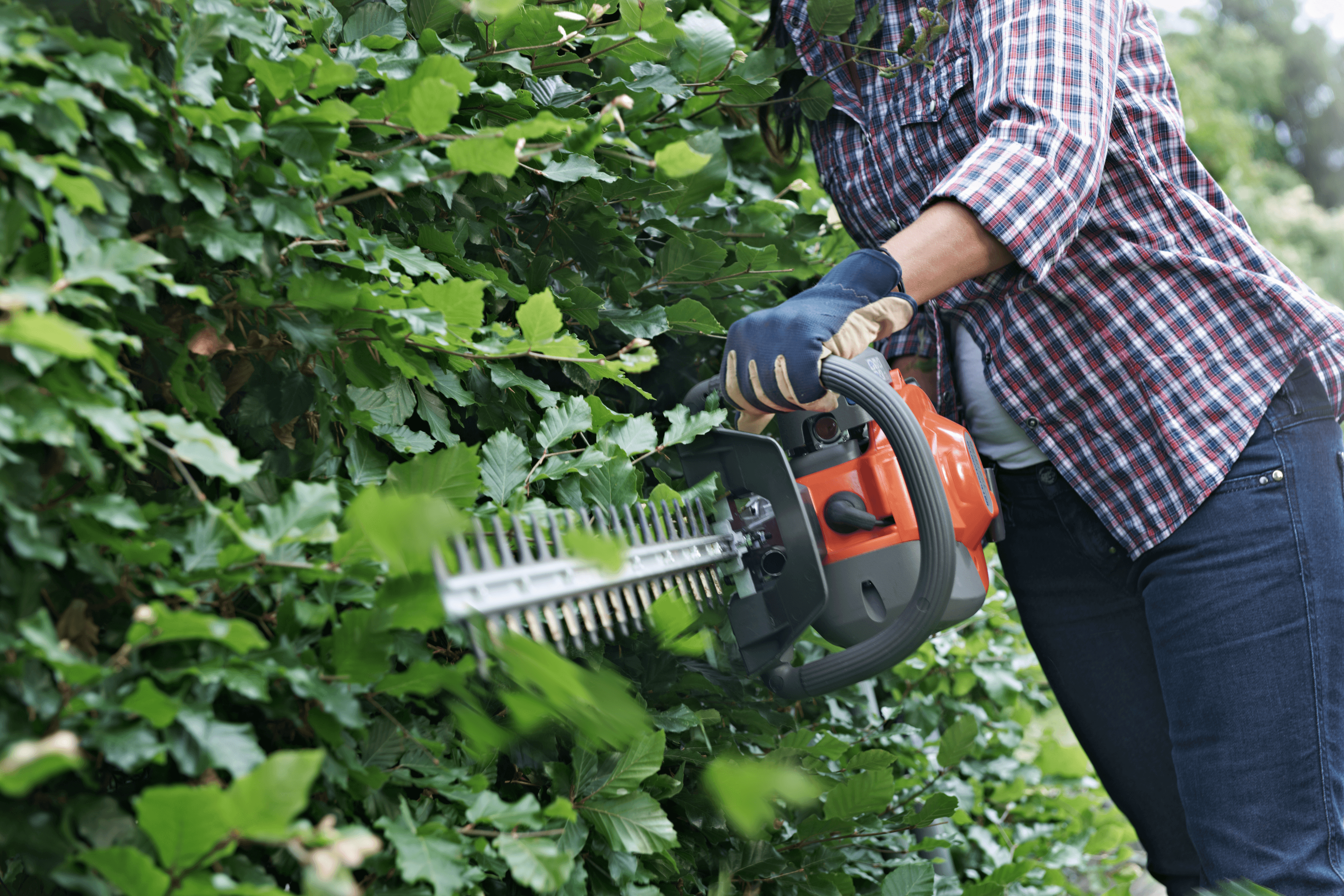 man wearing ppe with chainsaw